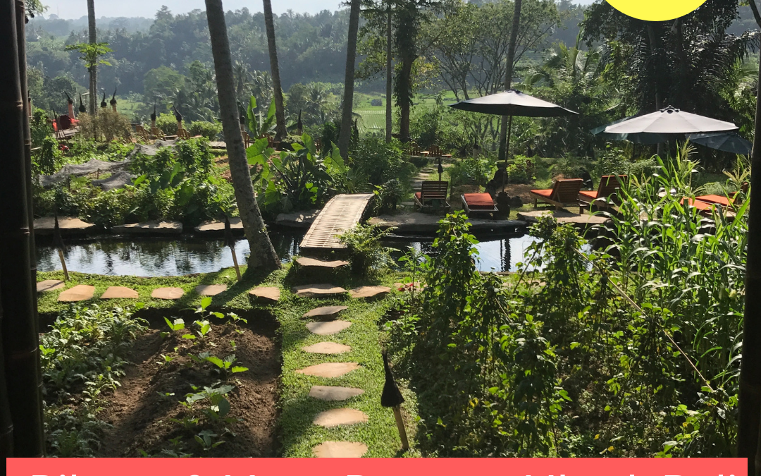 Pilates, Yoga & Meditation Retreat Bali – Affiliate