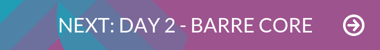 21 Day 1: Barre Challenge/ Day 1 - Barre Intro (19m) 5DBC