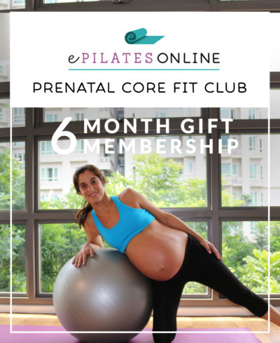 prenatal-6-month-gift-400x489 Cart